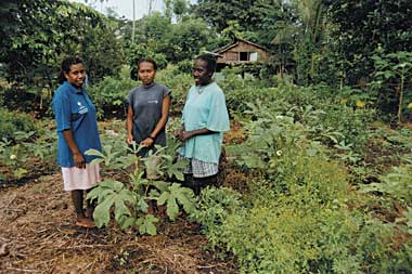 Seed curators